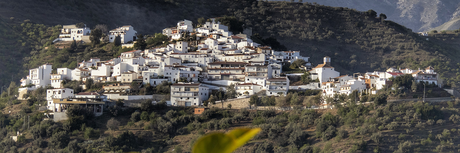 Corumbela in the Axarquia region to the East of Malaga. Photo by Jason Elliott.