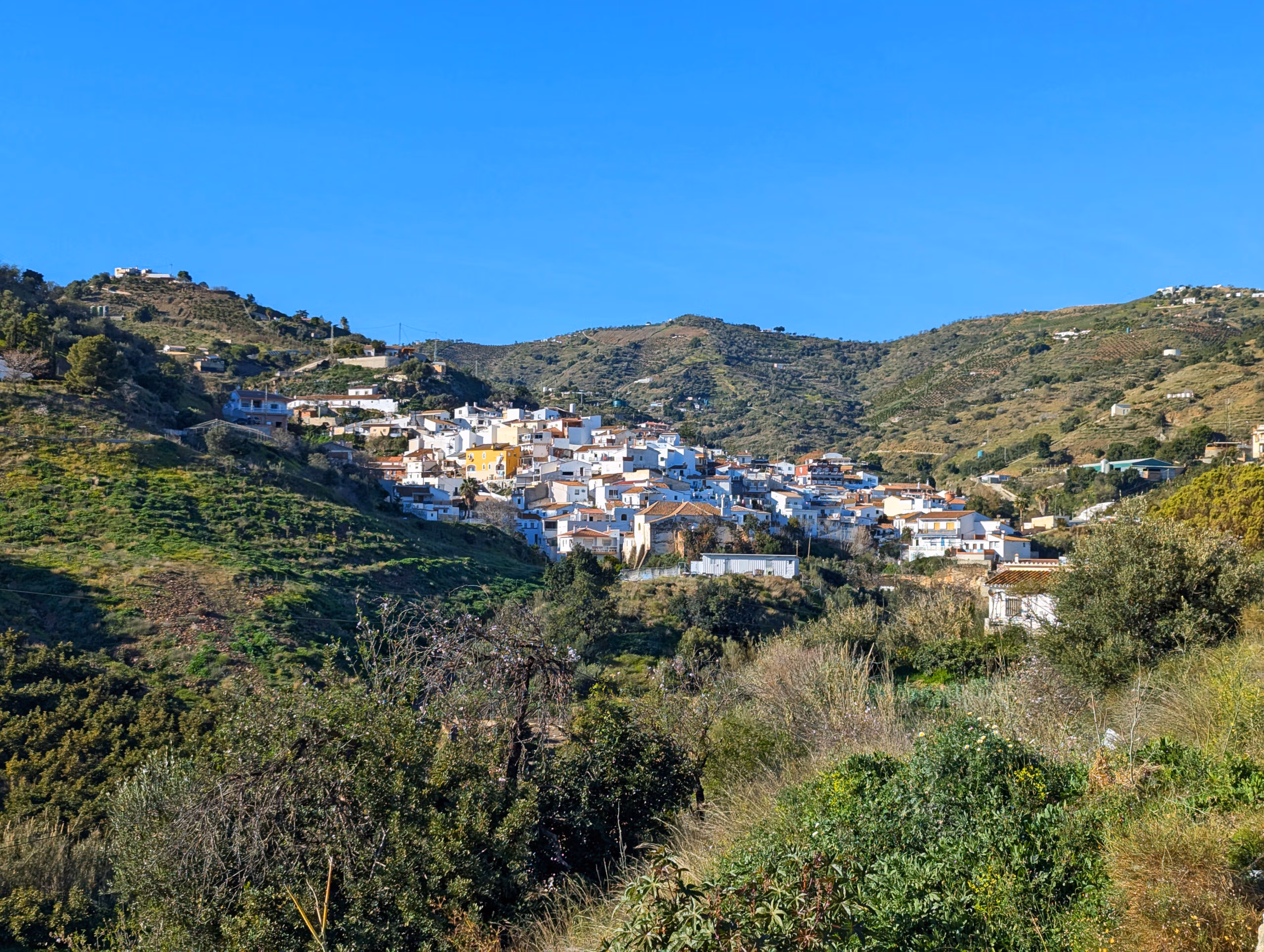 Looking north to Cajiz on the coastal approach road. Photo by Jason Elliott.