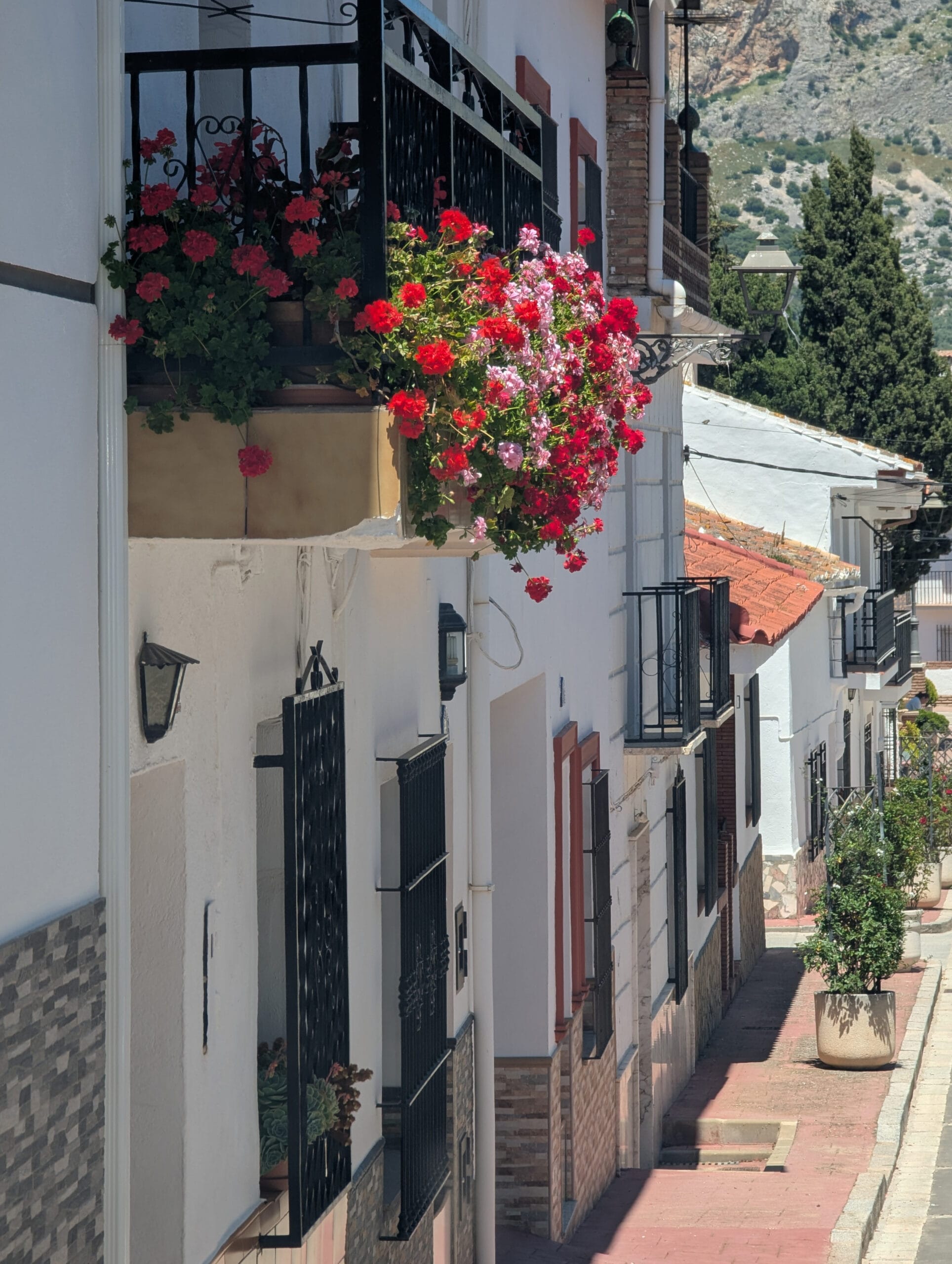 alfarnate-flowers-balcony-eastofmalaga-jasonelliott